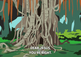 surprise tree GIF by South Park 