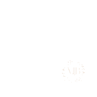 Influencer Blogger Sticker