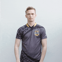 leagueoflegends GIF by Splyce