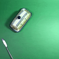 butter butterflies GIF by Evan Hilton