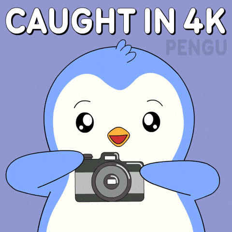 I Got You Smile GIF by Pudgy Penguins