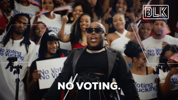 No Voting, No Vucking
