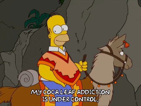 homer simpson GIF