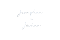 Joshua 세븐틴 Sticker