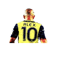 alex de souza Sticker by Serdil Dara Odabasi