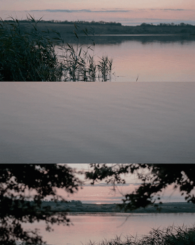 brohate giphyupload creationmylocation GIF