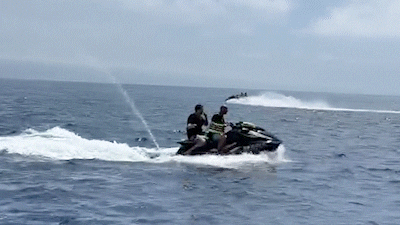 Fun Summer GIF by Clarity Experiences