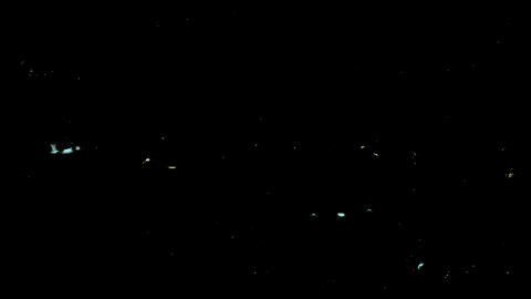 2d animation wip GIF by Amanda Bonaiuto