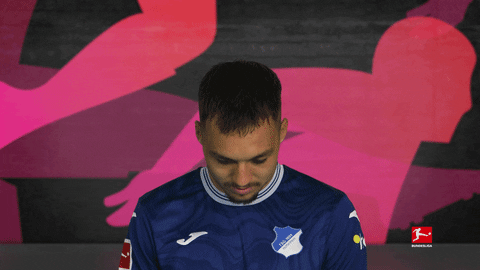 Tsg Hoffenheim Football GIF by Bundesliga