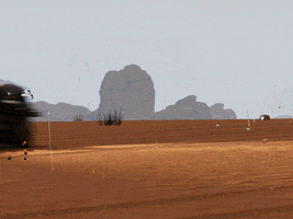 Racing Dakar GIF by Saber Interactive