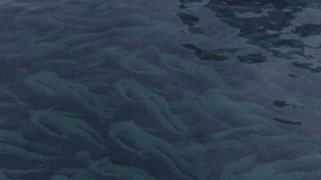 art swimming GIF by hateplow