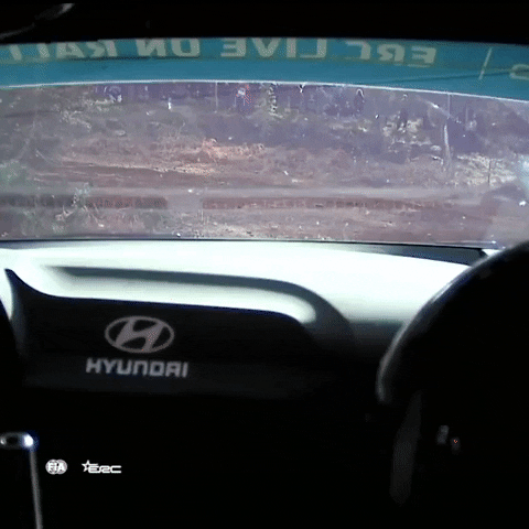 Overtake Good Bye GIF by FIA European Rally Championship