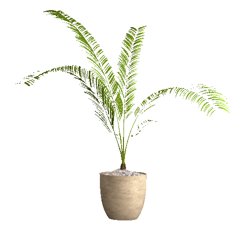 Feshemebel giphyupload plant decor цветок Sticker