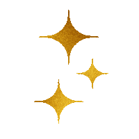 dudabarcikclinic gold sparkle shine sparkles Sticker