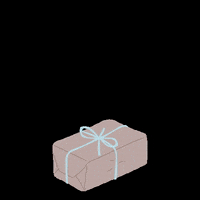 Comfyencosy package comfy cosy GIF