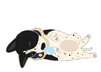 a330310 dog goodmorning 狗 早安 Sticker