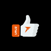 Envios Cajas GIF by Uruz