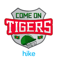 bangladesh cricket Sticker by Hike Messenger