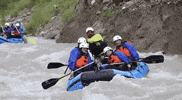 VDFO  GIF