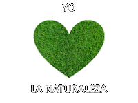 anemonejardineria amor corazon verde naturaleza Sticker