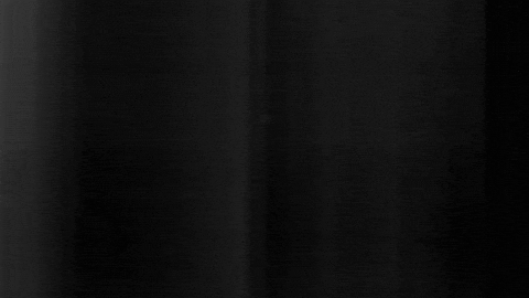 Football Sport GIF by SK Sturm Graz