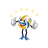 Sport Play Sticker by Aurora Beach Volleyball