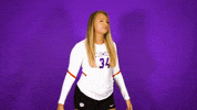 Clemsonvb Championshipbehavior GIF by Clemson Tigers