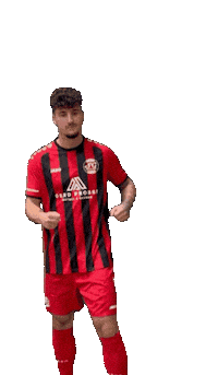 Schuler Sticker by sgschneifel