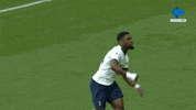 Happy Celebration GIF by MolaTV