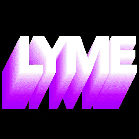 LymeStudios giphygifmaker art logo film GIF