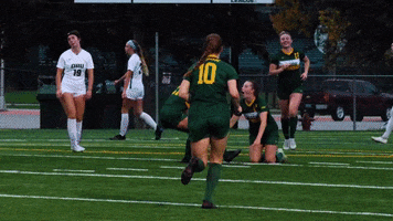 Goal Celebration Hanley GIF by NDSU Athletics