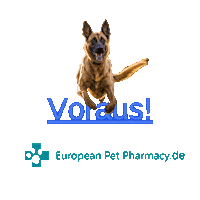 Ma Sticker by Europeanpetpharmacy