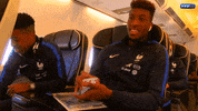 GIF by Equipe de France de Football