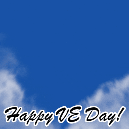 Lest We Forget Victory GIF by TeaCosyFolk