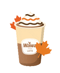 wawa run wonderfall Sticker by Wawa