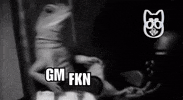 Shiba GIF by SHIBABETS.GG