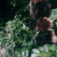 TheFourthComing look search searching look out GIF