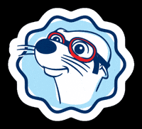 Swim Lessons Swimming GIF by AquaTots