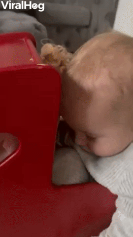 Baby Sleeps in Doll's Stroller