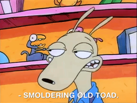 rockos modern life nicksplat GIF