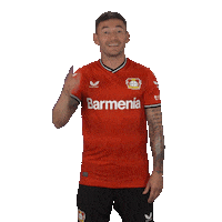 Football Wondering Sticker by Bayer 04 Leverkusen