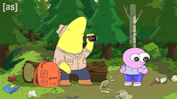 Throw Camping GIF by Adult Swim