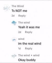 The Wind GIF