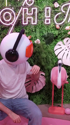 Build Your Own Flamingo Friend