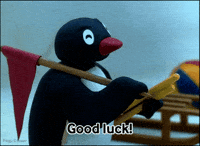 Celebration Good Luck GIF by Pingu
