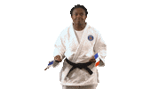 France Sport Sticker by Paris Saint-Germain Judo