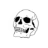 AfterLifeDesign giphygifmaker Sticker