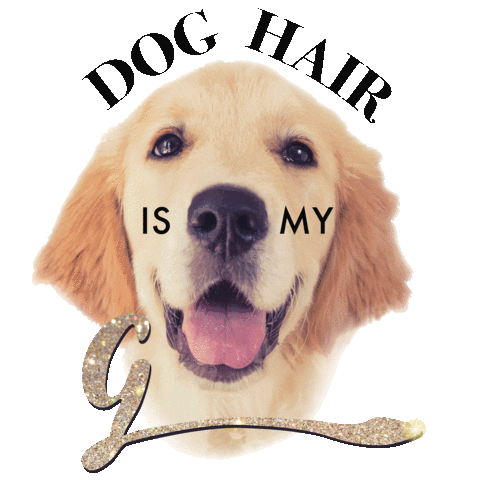 Puppy Cute Dog Sticker by yellowlabpetphoto