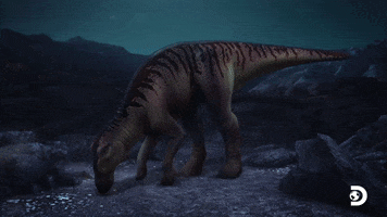 Dinosaur Dino GIF by Discovery