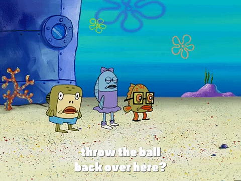 season 3 the great snail race GIF by SpongeBob SquarePants